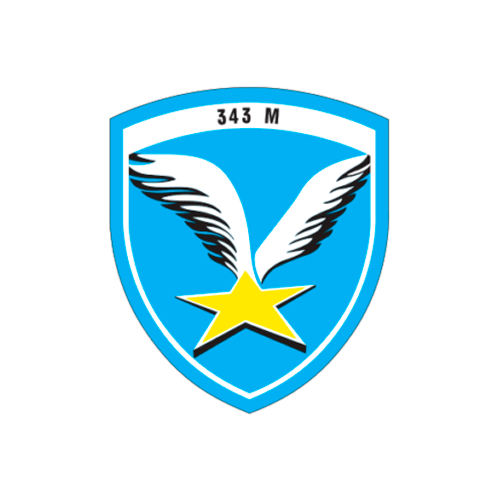 Emblema escuadrón 343