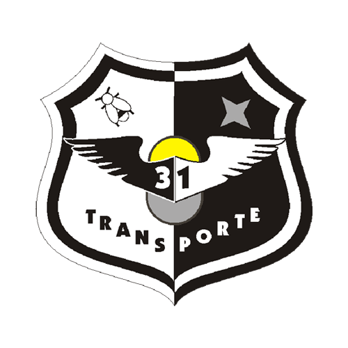 Emblema Ala 31